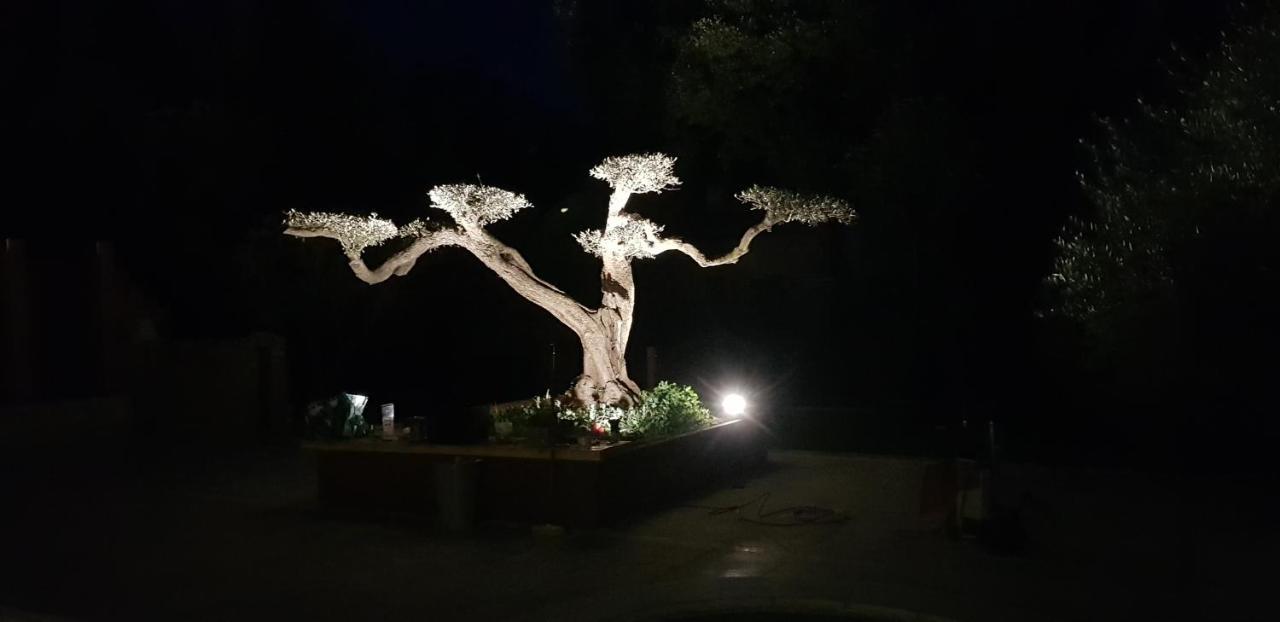 Les Gites De L'Arbousier Quissac  Exteriör bild