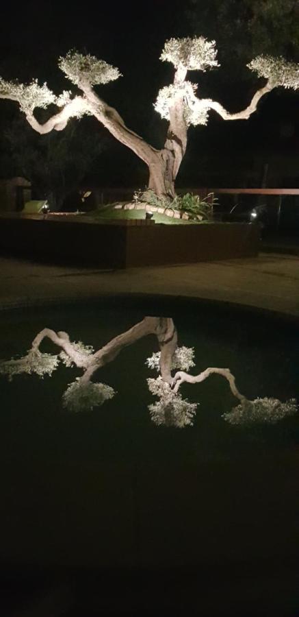 Les Gites De L'Arbousier Quissac  Exteriör bild